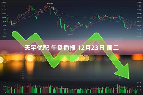 天宇优配 午盘播报 12月23日 周二