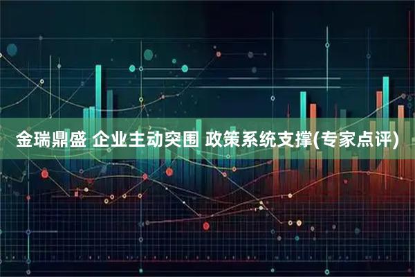金瑞鼎盛 企业主动突围 政策系统支撑(专家点评)